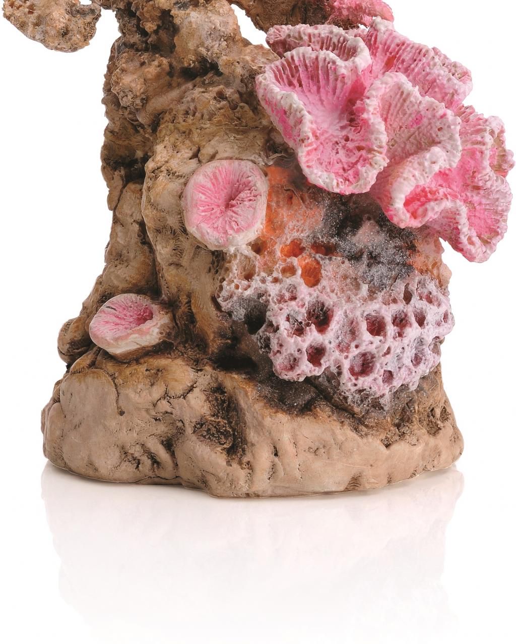 roze aquarium decoratie decoratie koraal pink reef roze biorb lil nl roze aquarium decoratie decoratie koraal pink reef roze biorb lil nl